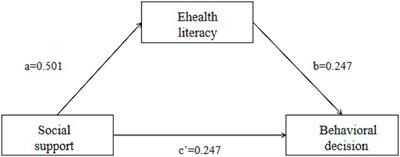 The mediating effect of e-health literacy on social support and behavioral decision-making on glycemic management in pregnant women with gestational diabetes: a cross-sectional study
